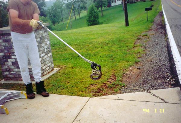 Black snake captured on site