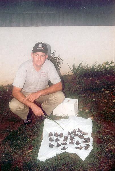Bats caught and removed