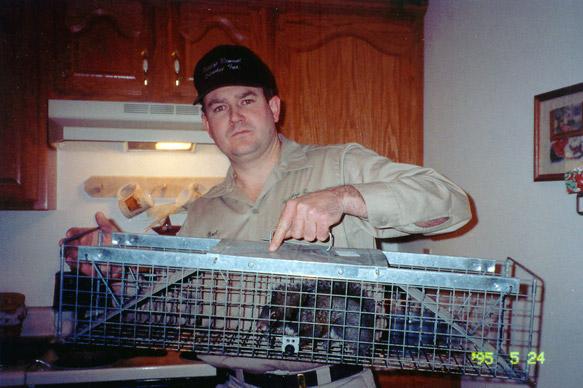 Squirrel caught and removed