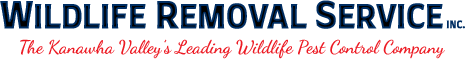 Wildlife Removal Service Inc.