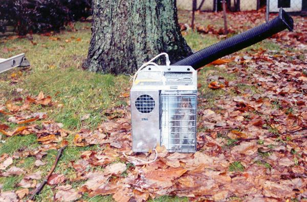 Squirrel in a humane live trap